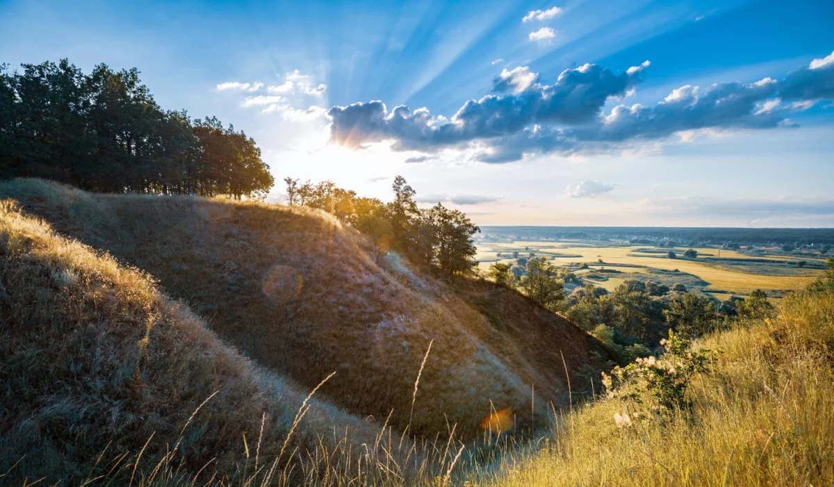 Artykuł o podatkach, biznesie i biurach rachunkowych