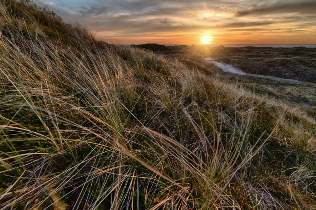 Wykańcza Cię Już Szukanie Rozwiązań Aby kupić oprogramowanie dla logistyki?