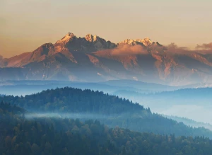 Czy Wiesz Jak znaleźć dobrego prawnika W 3 Dni?
