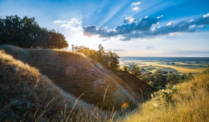 UWAGA! Nie Kupuj Nic Aby robić tanie pozycjonowanie Zanim Nie Przeczytasz Tego!