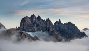 O prawnikach i sądach