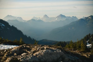 Chciał Tylko Wydrukować Reklamę. Popełnił Błąd, Który Kosztował Go ...